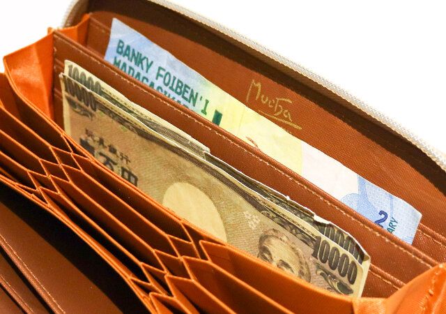 付録のアルフォンス・ミュシャ じゃばら式長財布のお札収納