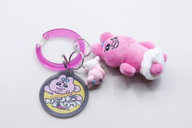 ダイソーのプラキーホルダーの使用例