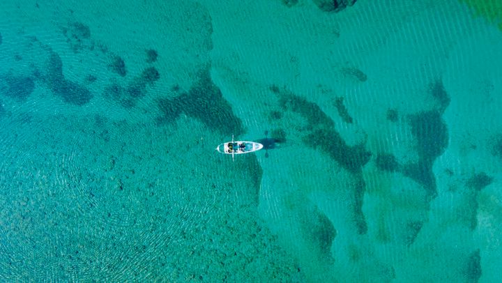 【2024年 イヴルルド遙華の12星座占い】～新しい年に最強の幸せを手にするには？～