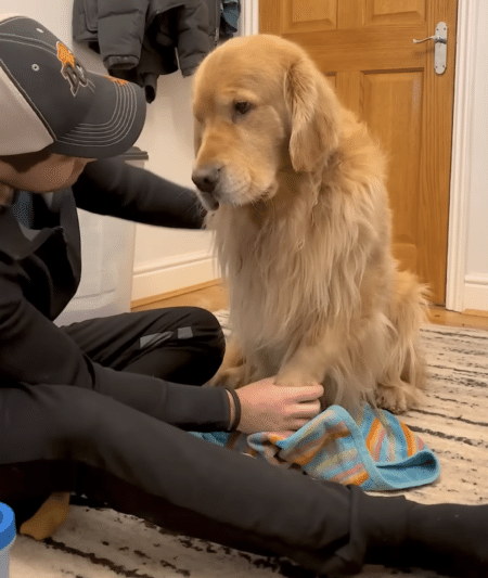 「手洗いイヤだなぁ」分かりやすくしょんぼりする犬さん、飼い主さんに励まされて頑張る！