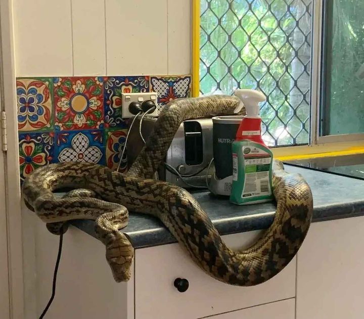 画像: www.reddit.com