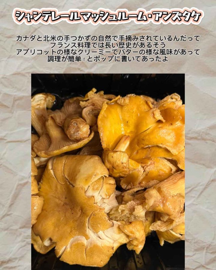 画像2: 出典：Instagram