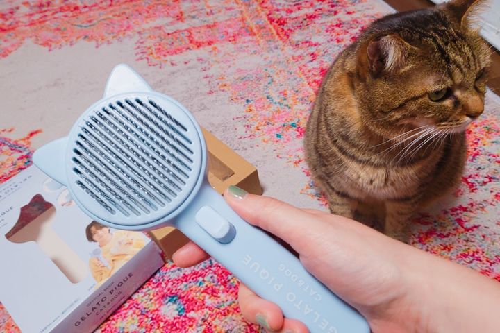 わが家の猫に試してみたところ