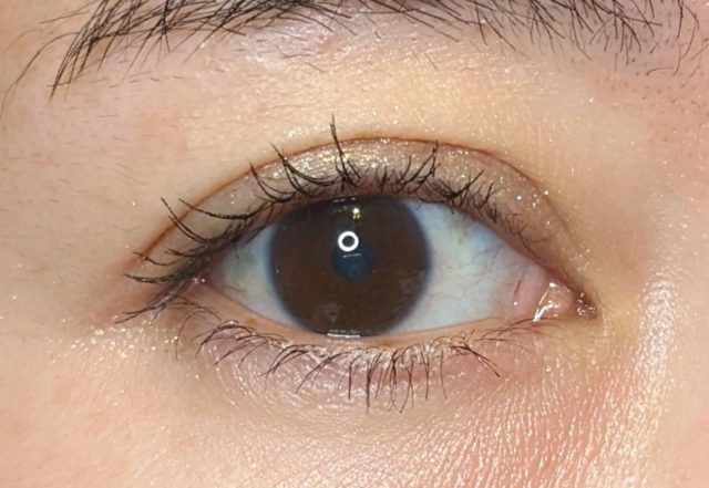 KATEアイシャドウの写真