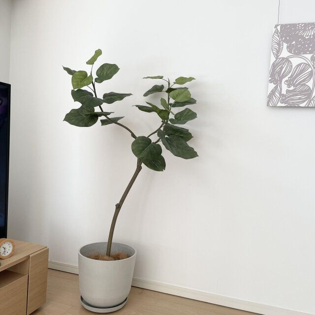 インテリア 楽しむ コツ