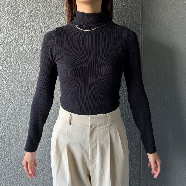 ユニクロヒートテックシームレスリブタートルネックTを着たところ
