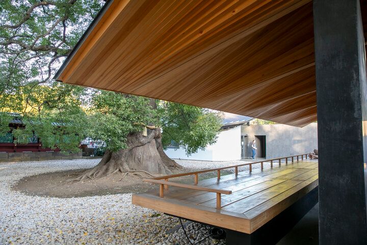 龍やパンダのお守りから月替わりの御朱印まで、心くすぐる授与品がいっぱいの「上野東照宮」へ