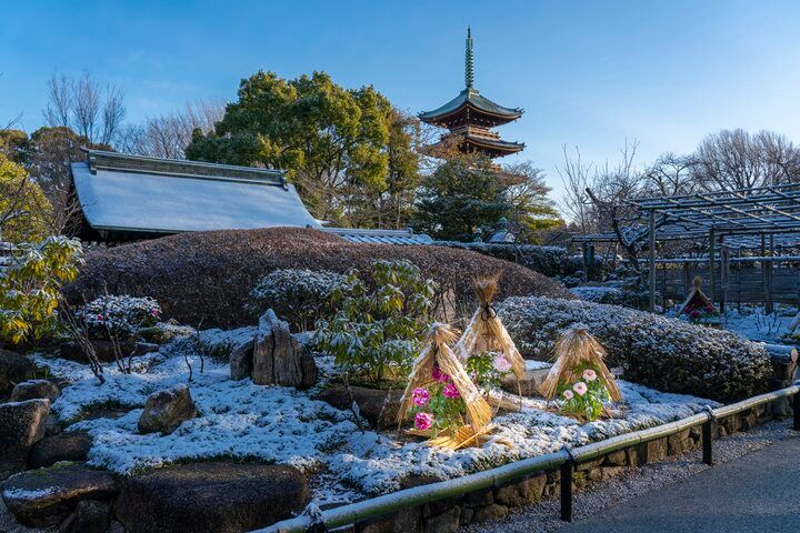 龍やパンダのお守りから月替わりの御朱印まで、心くすぐる授与品がいっぱいの「上野東照宮」へ