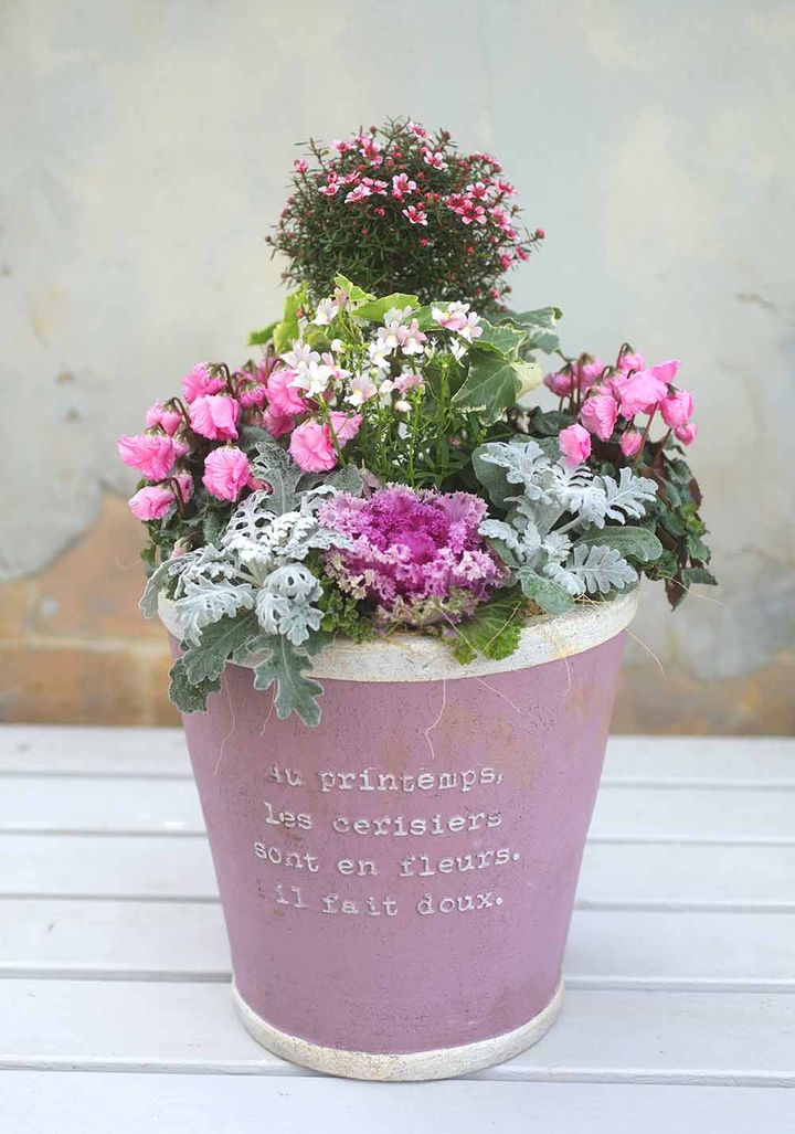 ハレの日の寄せ植え