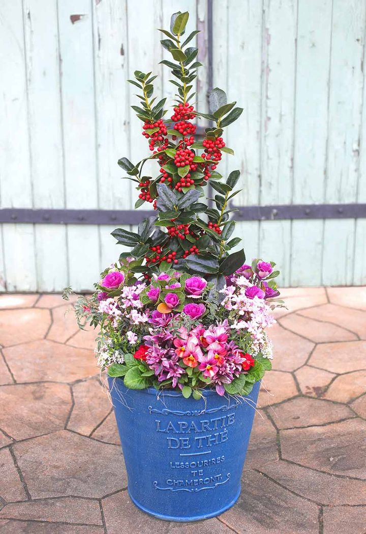 ハレの日の寄せ植え