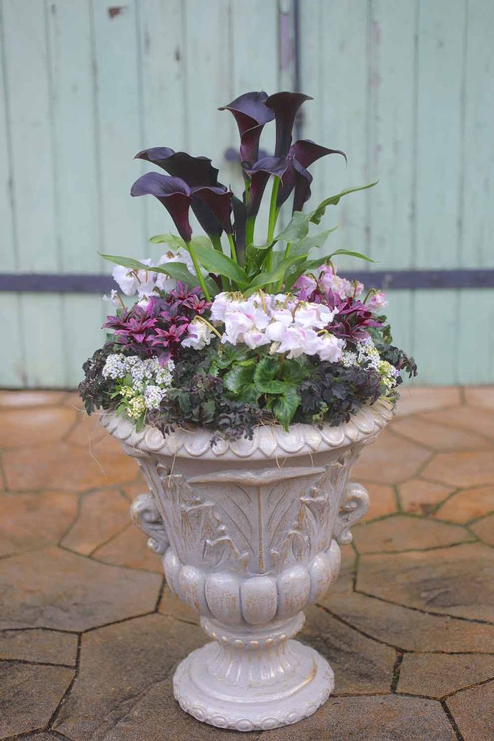 ハレの日の寄せ植え