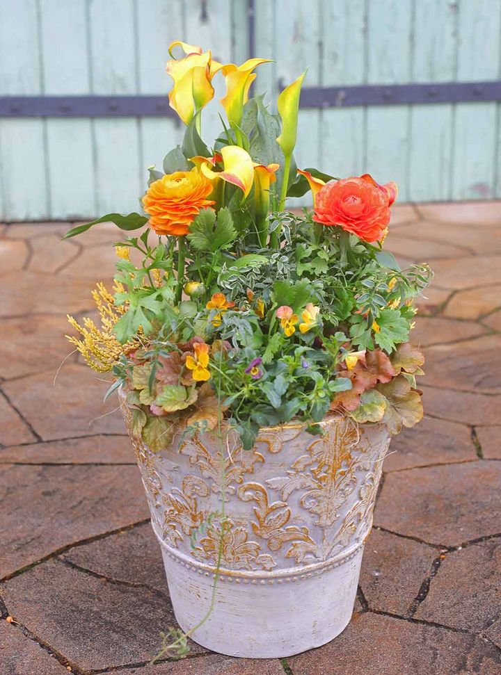 ハレの日の寄せ植え