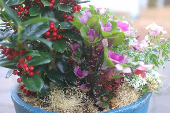 ハレの日の寄せ植え