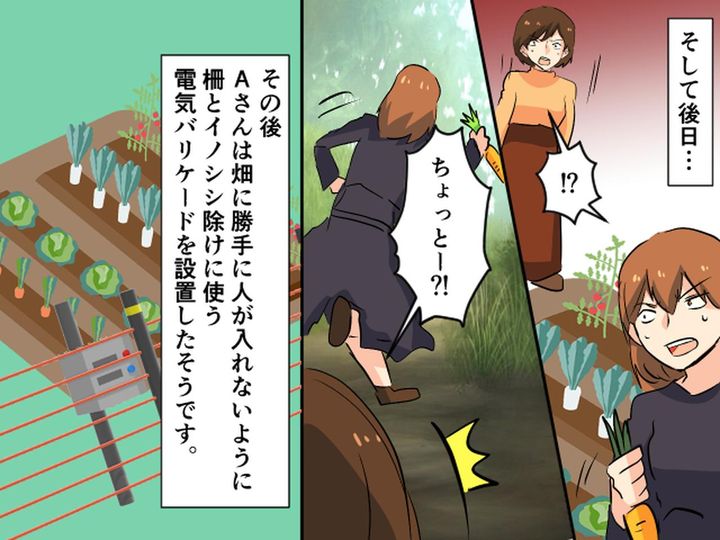 画像4: 畑のお野菜頂戴と言うクレクレママ、断ってみたら…！？