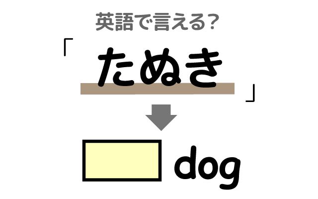 英語で【たぬき】は何て言う？「たぬき寝入り」などの英語もご紹介