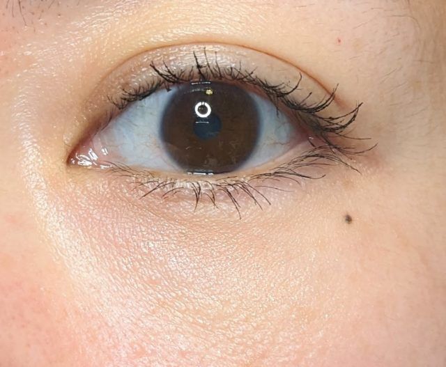 ケイト ピンポイントカラースナイパーの写真