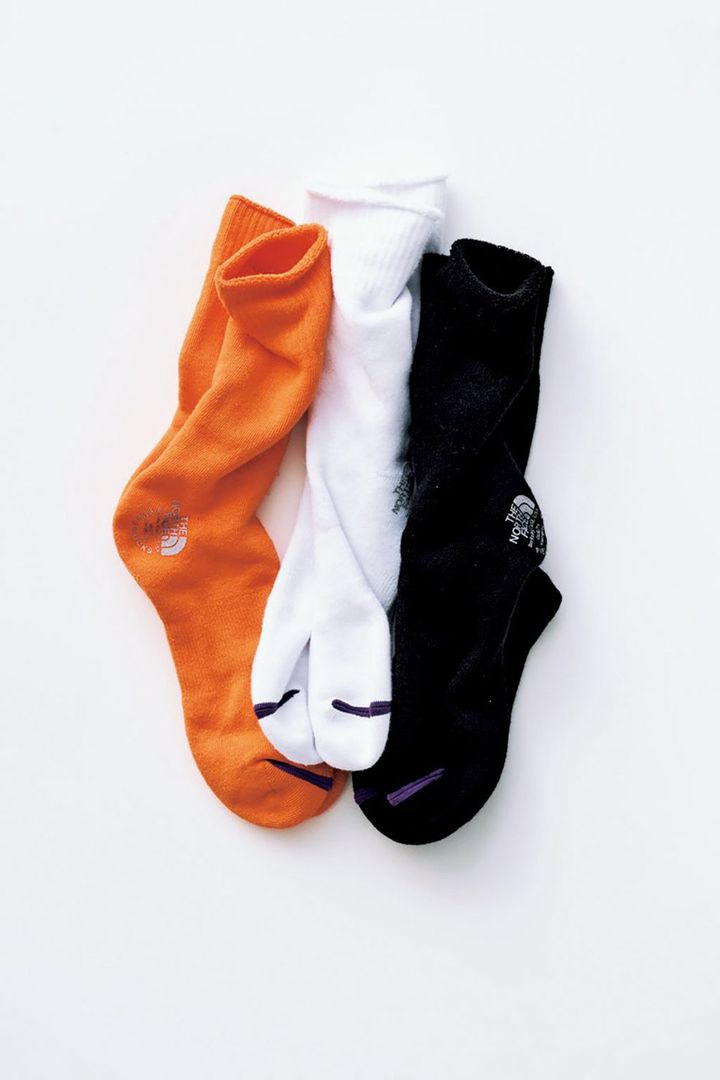 THE NORTH FACE PURPLE LABEL