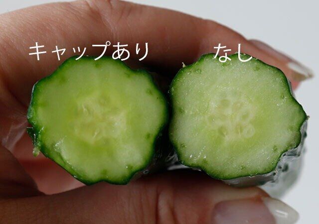 きゅうりの切り口