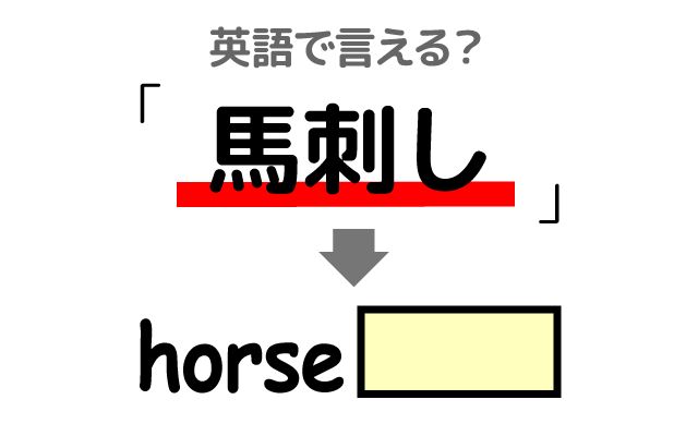 英語で【馬刺し】は何て言う？「馬肉・赤身の馬刺し」などの英語もご紹介