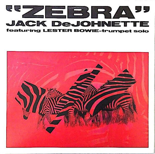 写真家の内藤忠行による映像作品『ZEBRA』のサウンドトラック