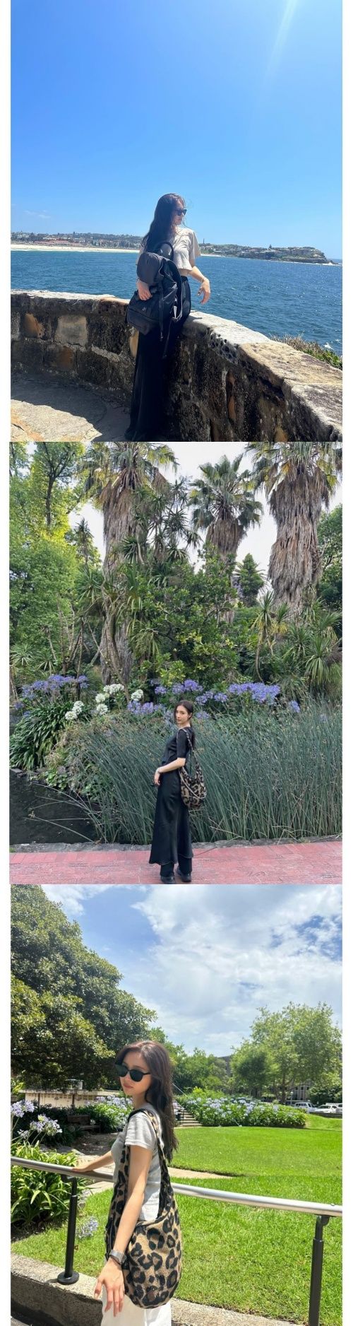 シン・セギョン