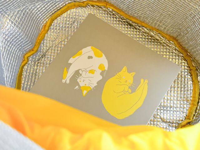 保冷バッグにはいった約15cm四方の「にゃんチー」の箱