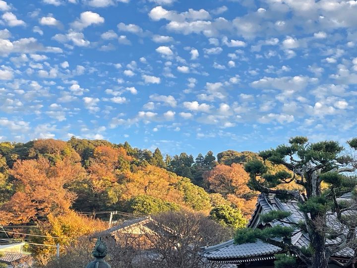 MY PERFECT DAYS 小川公代