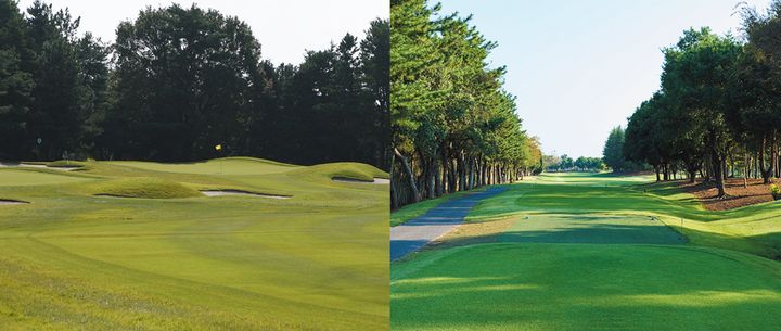 長い距離のコースは難しい……とはかぎらない！自分の得意なコースを見極める方法とは？