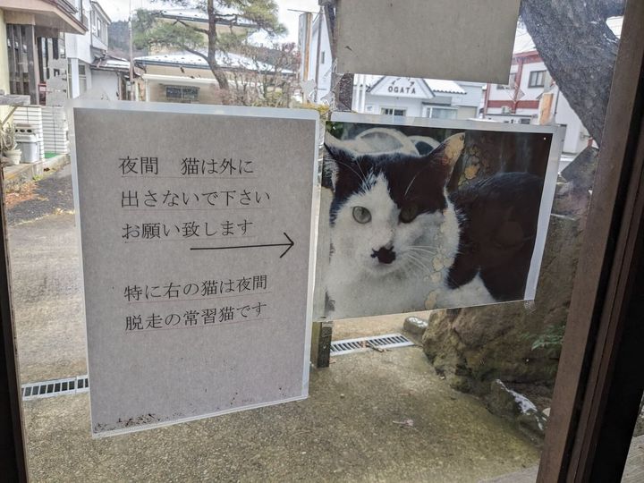 温泉旅館に貼られた「夜間脱走の常習猫」の張り紙
