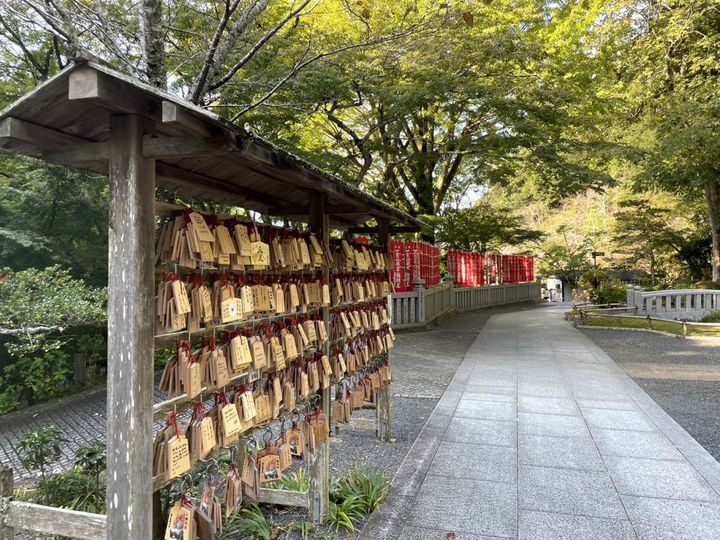 静岡県西部の知る人ぞ知るお土産！法多山の限定「厄除けだんご」【旅するデザイナーがおすすめする旅先でのお土産たち！】