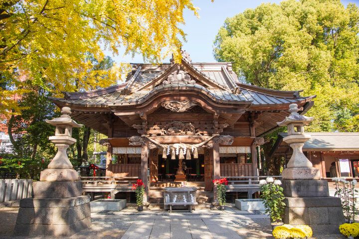 初詣はカラフルな「新五龍神みくじ」がある「田無神社」にお参りへ