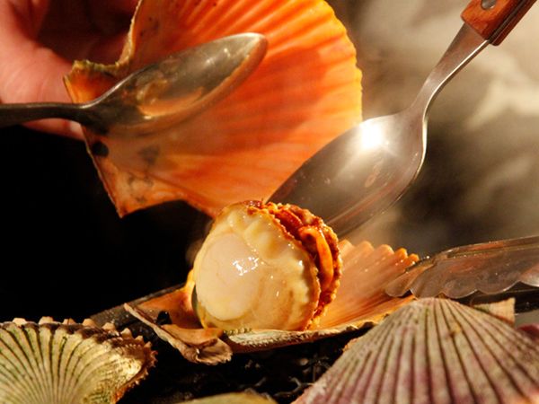 【絶対行ってほしい】ベテランキャンパーも絶賛！和歌山県那智勝浦で贅沢キャンプ！