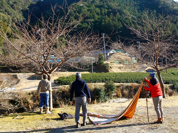 【絶対行ってほしい】ベテランキャンパーも絶賛！和歌山県那智勝浦で贅沢キャンプ！