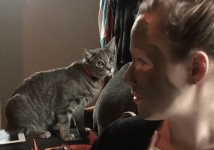 猫「にゃ？ お前は誰ニャ！？」泥パックをしている飼い主さんを見て