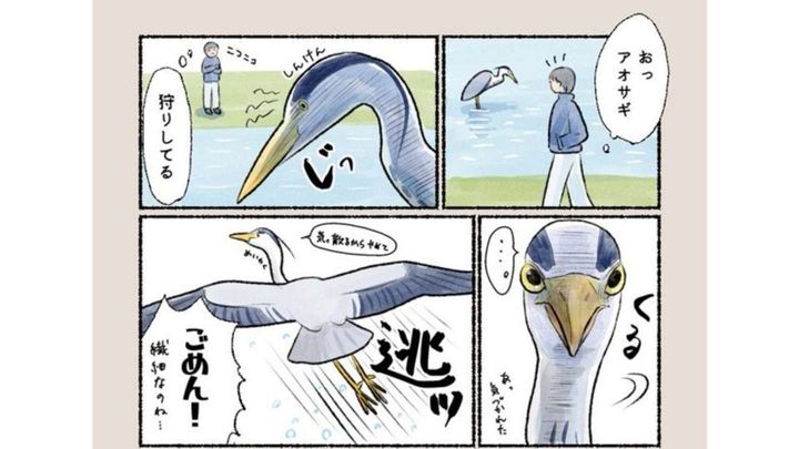 piro piro piccolo（＠iirotorii）さんの投稿より（編集部でトリミング）