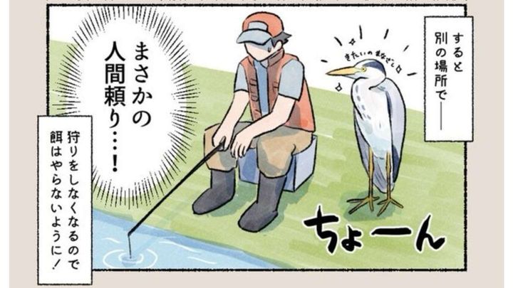 piro piro piccolo（＠iirotorii）さんの投稿より（編集部でトリミング）