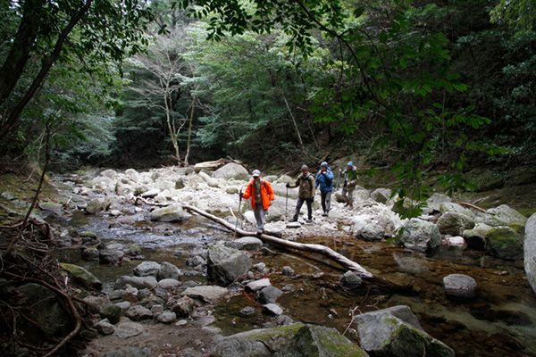 【世界遺産】おじキャンパー大興奮！那智の歴史と自然に触れるおすすめアクティビティ