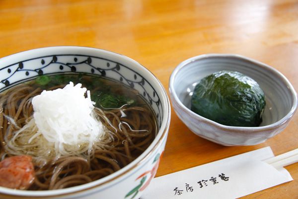 【世界遺産】おじキャンパー大興奮！那智の歴史と自然に触れるおすすめアクティビティ