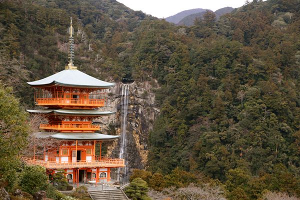 【世界遺産】おじキャンパー大興奮！那智の歴史と自然に触れるおすすめアクティビティ