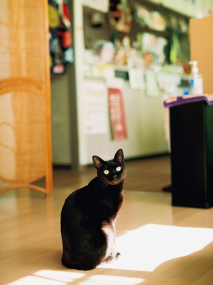東京〈湯処じんのび〉看板猫ののり巻き