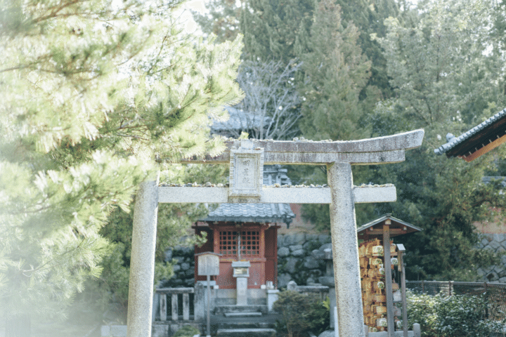 新たな一年を迎える初詣♪あらためて知りたい参拝の作法