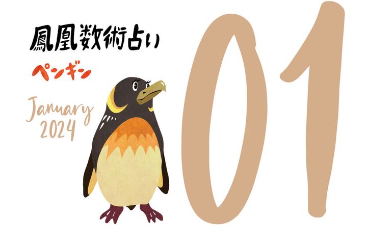 【今月の占い】人気占い師・暮れの酉さんが観る2024年1月の運勢【鳳凰数術占い】