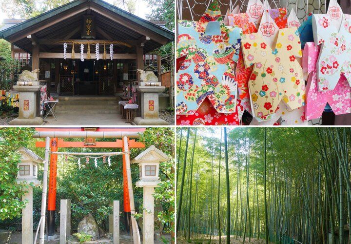 京都で干支の龍を訪ねて、アートな襖絵やおみくじに新年の幸せ祈願♪