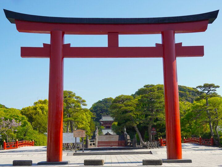 新春の鎌倉さんぽ♪鶴岡八幡宮へのお参りとランチやカフェ、お土産屋さんを巡る一日