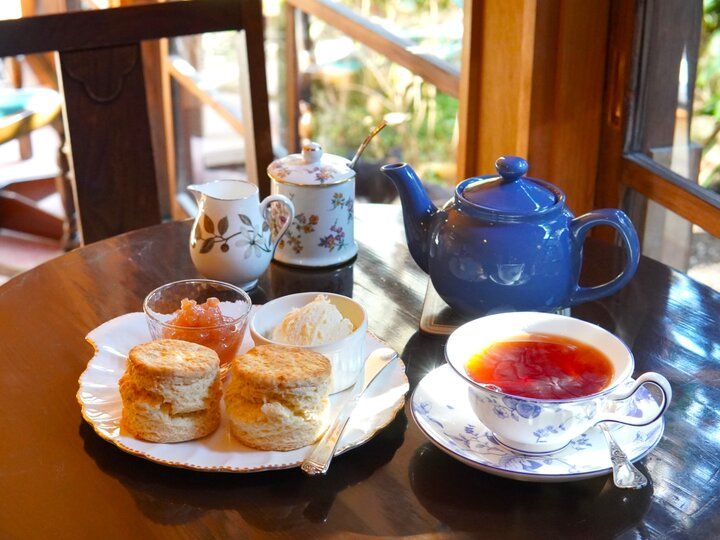 新春の鎌倉さんぽ♪鶴岡八幡宮へのお参りとランチやカフェ、お土産屋さんを巡る一日