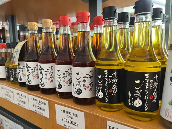 絶対行ってほしい！キャンプ旅がもっと楽しくなる道の駅4選