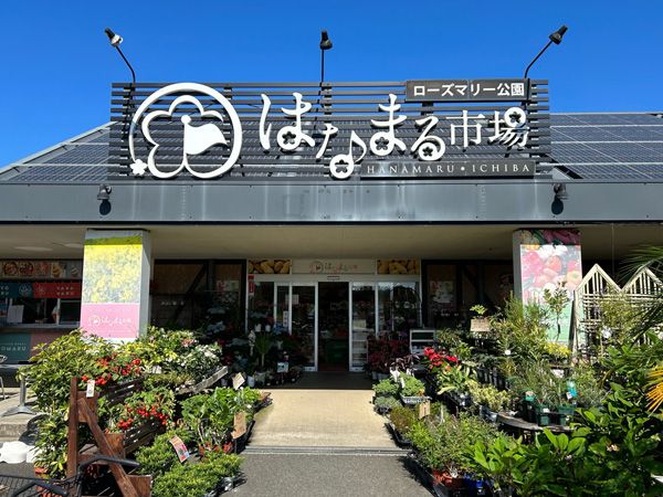 絶対行ってほしい！キャンプ旅がもっと楽しくなる道の駅4選