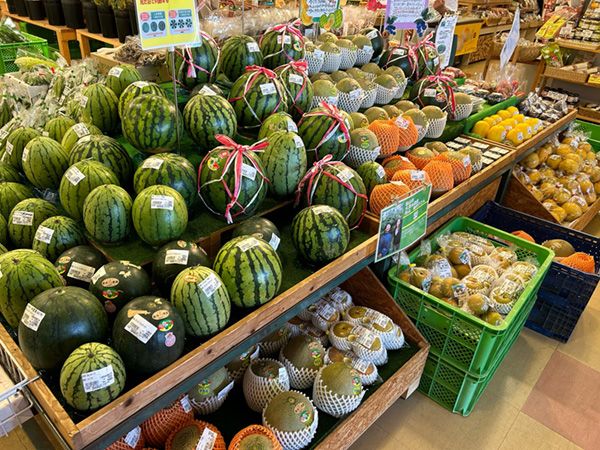 絶対行ってほしい！キャンプ旅がもっと楽しくなる道の駅4選