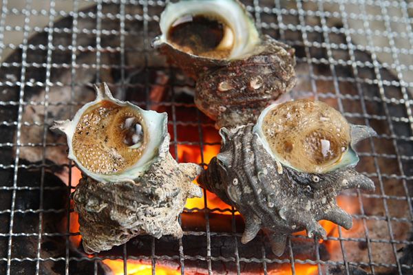 絶対行ってほしい！キャンプ旅がもっと楽しくなる道の駅4選