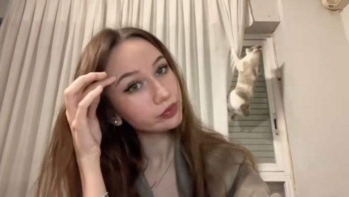 お仕事のプレゼン録画を始めた瞬間、猫は登るよ背後のカーテン